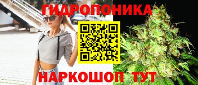 твердый Михайловка